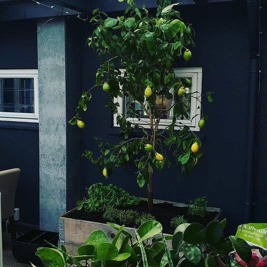 Ilse Made - Hotellet Ved Kilden Pillemark Exteriér fotografie